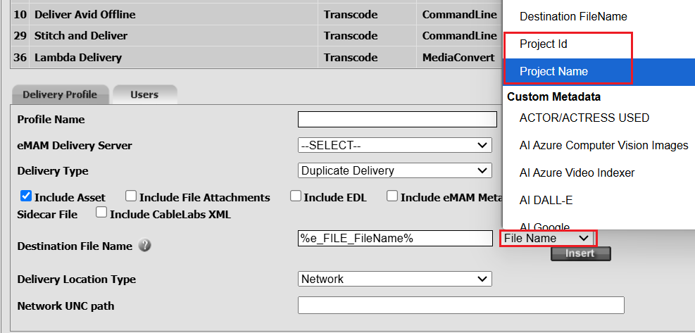 ProjectName and ProjectID as a variable in Delivery FileName parameter