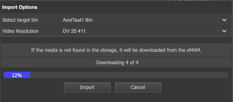 Import options window